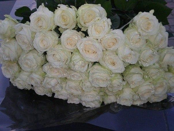 Белая роза является символом вечной любви, более чистой, сильной и крепкой, чем все земные чувства.