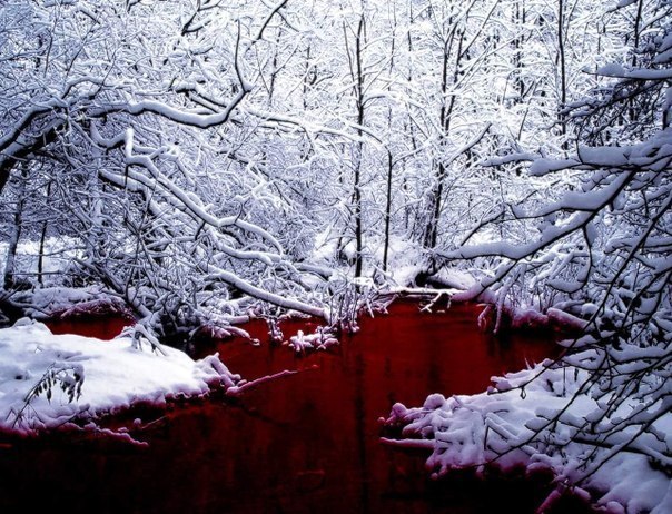 Красное озеро на севере Канады. Своим цветом оно обязанно большому числу красных водорослей.