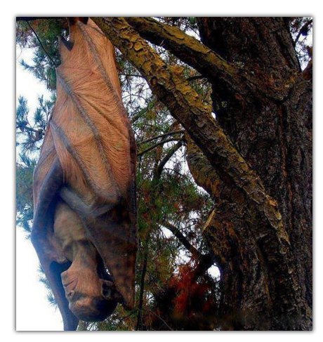 Вот такая скульптура весит в лесу...Что бы вы сделали, если бы увидели?