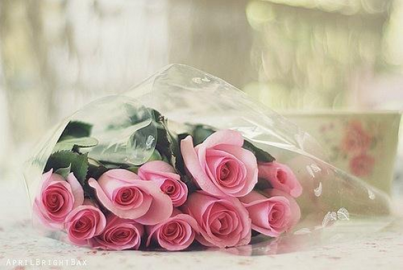 Мужчина - это человек, который делит цветы на два вида: розы и "а вот это как называется?"