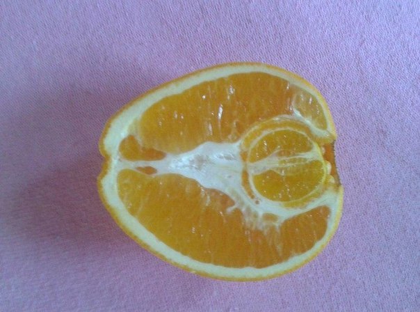Беременный апельсин :).