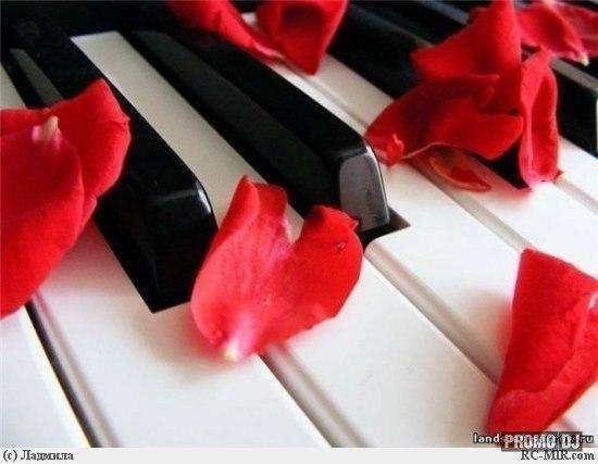 Жизнь — как фортепиано. Белые клавиши — это любовь и счастье, чёрные горе и печаль. Чтобы услышать настоящую музыку жизни, мы должны коснуться и тех, и тех…