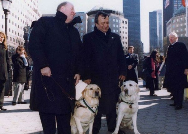 Два пса-поводыря, по кличке Салти и Розель вывели своих слепых владельцев с 70-го этажа Всемирного торгового центра до того, как башни рухнули вовремя теракта 11-го сентября.