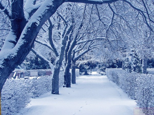 Хочу зиму, много - много снега, теплые свитера, горячий чай, елку, каникулы и новогодние фильмы! :))