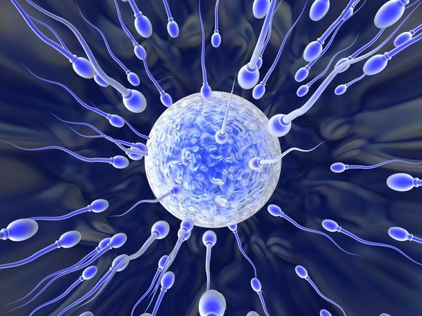 Не родилась еще та яйцеклетка, которая бегала бы за сперматозоидом. Не будем спорить с природой! …))