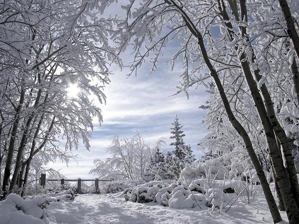 Я уже хочу зиму, идти по белому снегу, слушать любимую музыку и видеть эту всю новогоднюю суету.