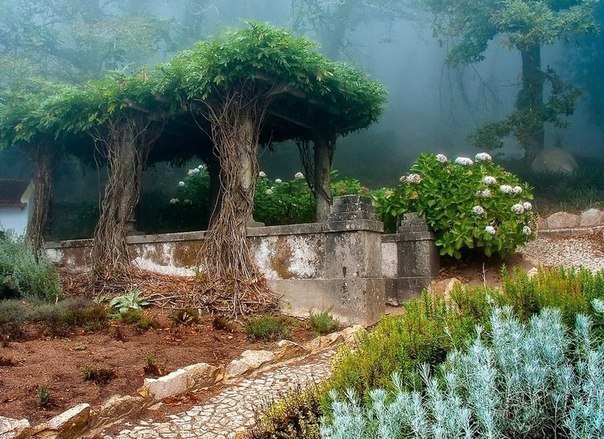 Старый сад в городе Синтра, Португалия.