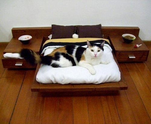 Кровать для кошки.