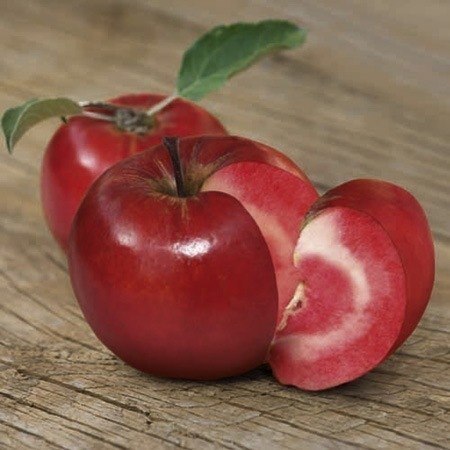Если ты на диете, помни золотое правило: "Хочешь жрать - жри яблоко. Не хочешь яблоко - не хочешь жрать".