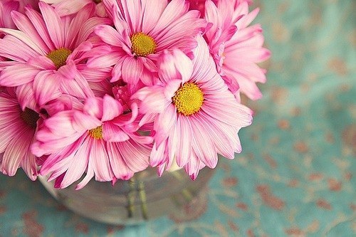 Цветы должны быть без повода. Счастье - неповторимым. Любовь - взаимна . .