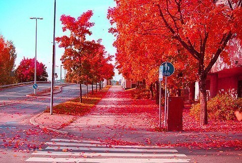 Красная осень, Стокгольм, Швеция