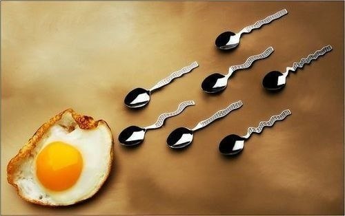 Не родилась еще та яйцеклетка, которая бегала бы за сперматозоидом. Не спорь с природой.