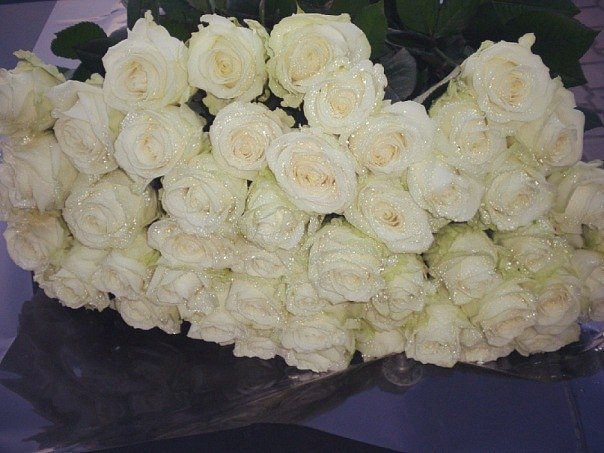 Белая роза является символом вечной любви, более чистой, сильной и крепкой, чем все земные чувства.