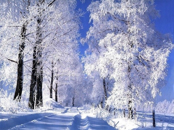 Зима для того и создана в белых тонах...чтобы начинать свою жизнь с белого листа!